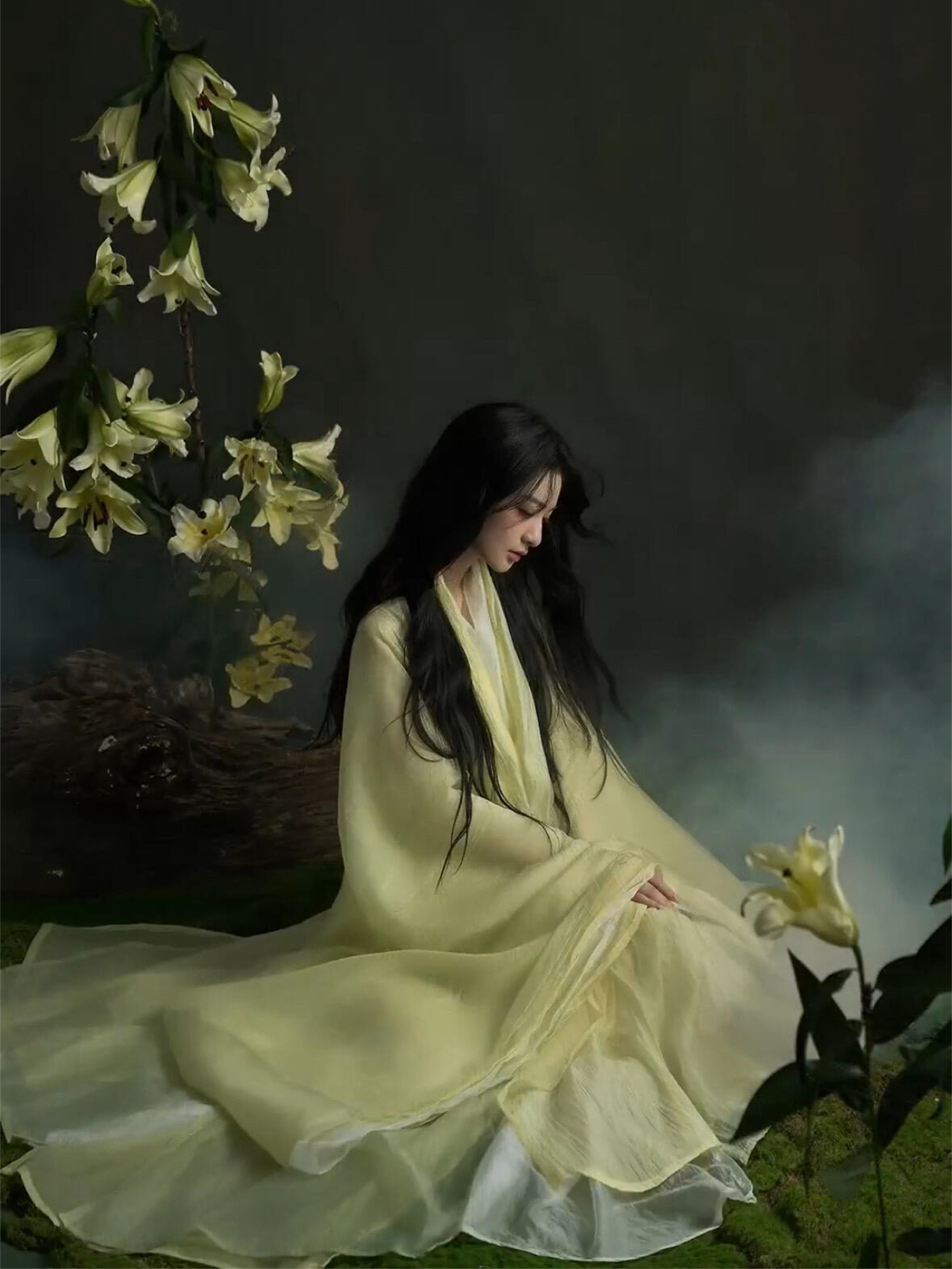 Elegant Hanfu Photography Cost - Photography Of War avaliação e preço