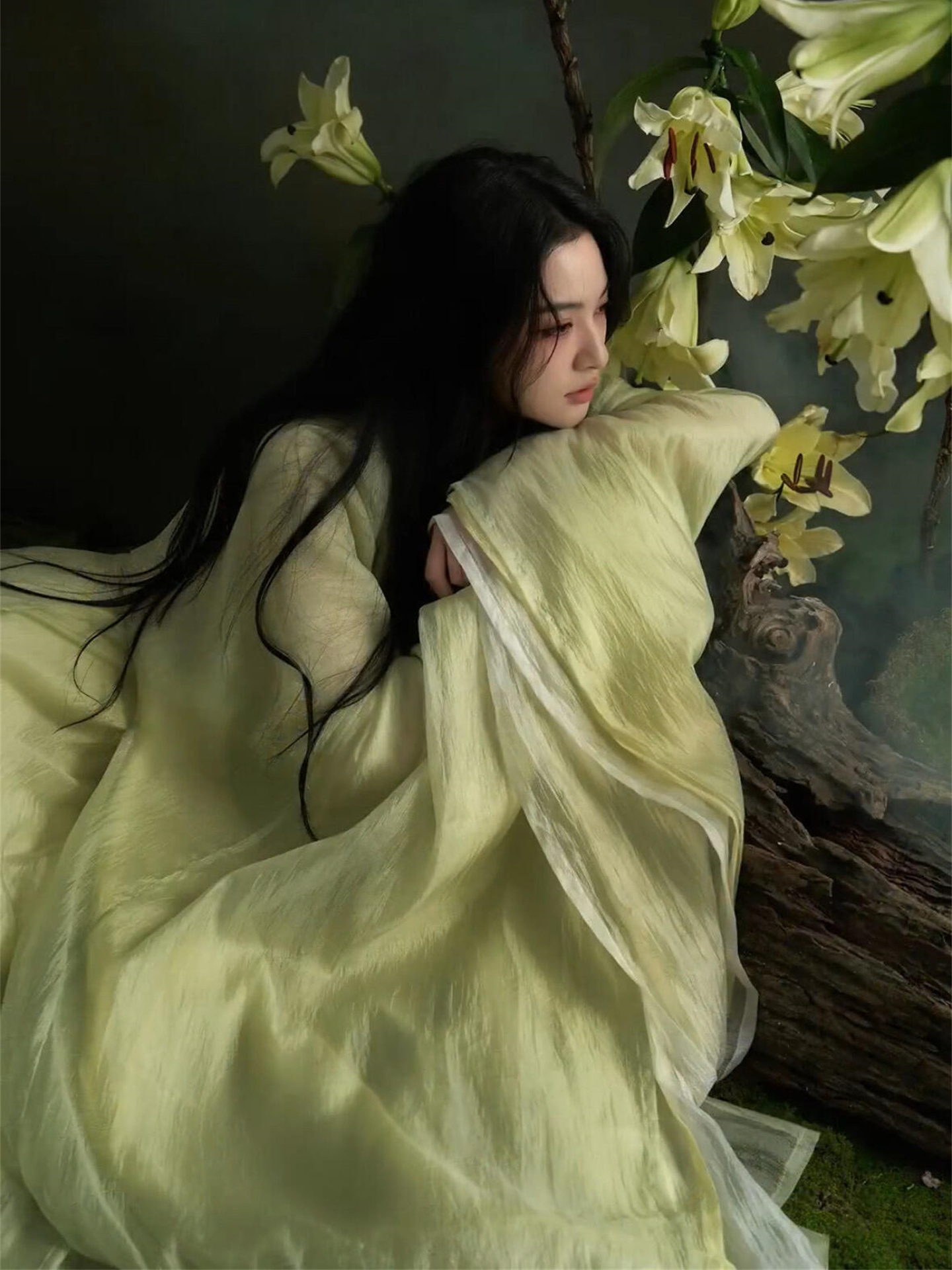 Elegant Hanfu Photography Cost - Photography Of War avaliação e preço