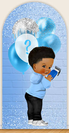 LS Gender Reveal Party Arch Co - Photography Questions avaliação e preço