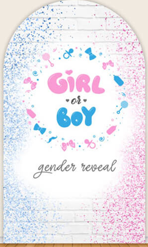 LS Gender Reveal Party Arch Co - Photography Questions avaliação e preço