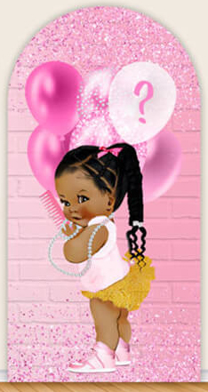 LS Gender Reveal Party Arch Co - Photography Questions avaliação e preço